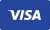 Pay with Visa